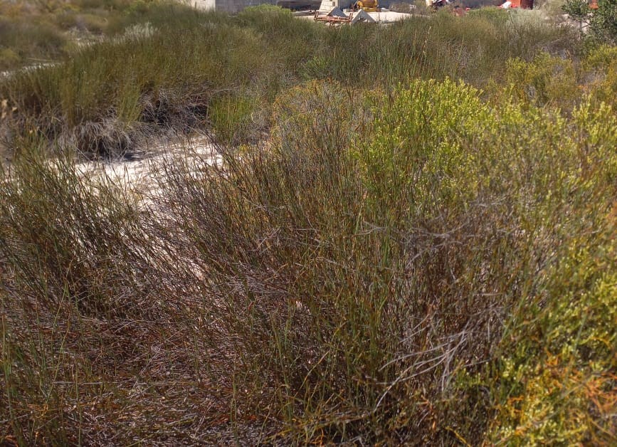 1 Bedroom Property for Sale in Hartebeesfontein Western Cape